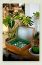 Vintage Jewelry Box, Green Velvet, 3 Options,  Begonia Flower glass Cover